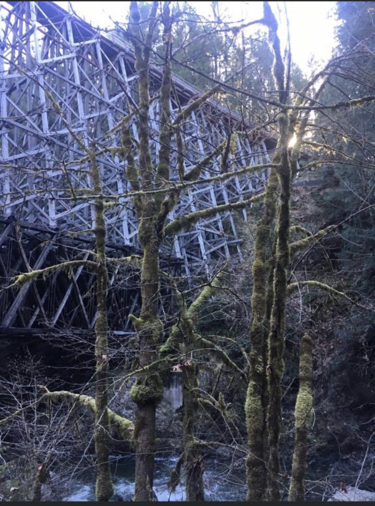 Notaries Public in Victoria, BC Farley Martin Notaries